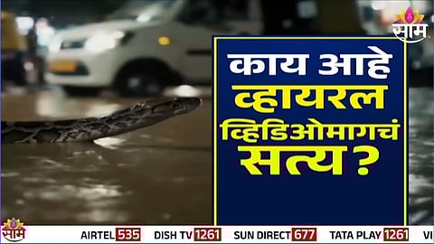 Fact Check : मुंबईतील रस्त्यांवर फिरतायत साप? काय आहे व्हायरल व्हिडिओमागचं सत्य? VIDEO
