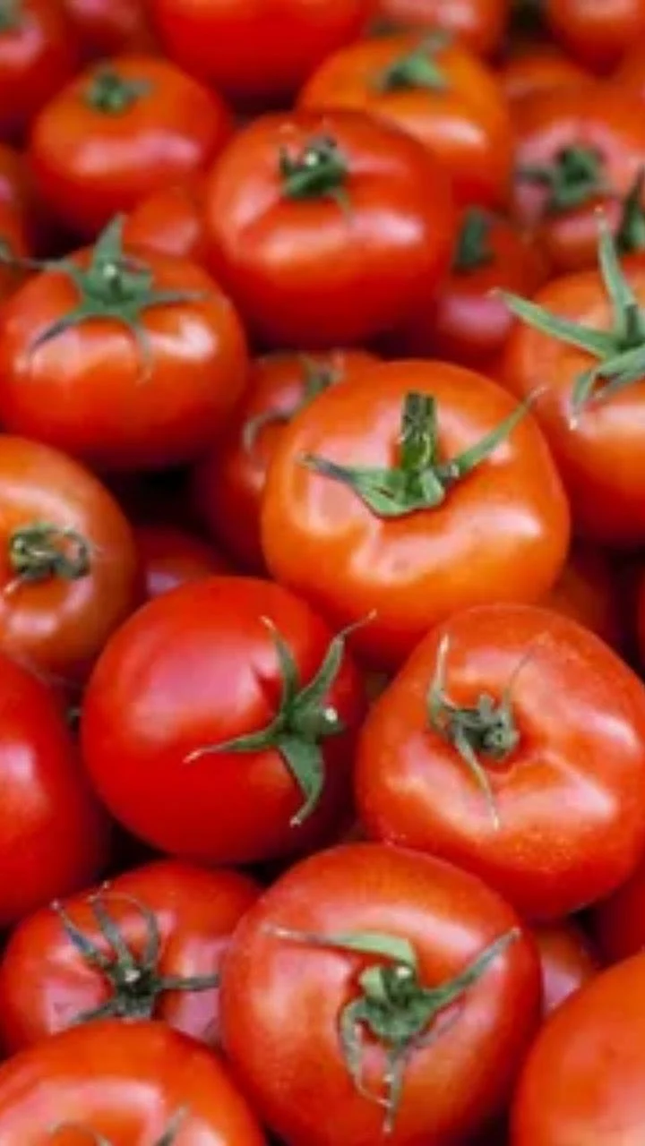 Tomato