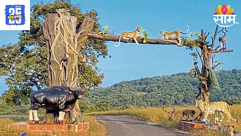 Chandoli Tourist Spot