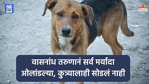 Mumbai News: भररस्त्यात तरुणाकडून कुत्र्यावर अनैसर्गिक अत्याचार, मुंबईमधील भयंकर घटना; VIDEO पाहून नागरिक संतापले