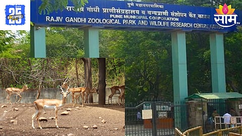 Rajiv Gandhi Zoo
