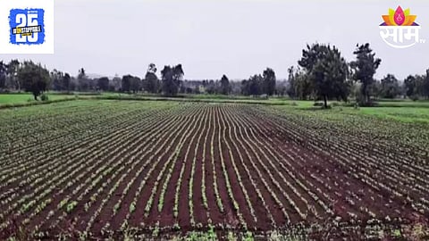 Marathwada Rain