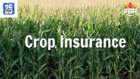 Crop Insurance