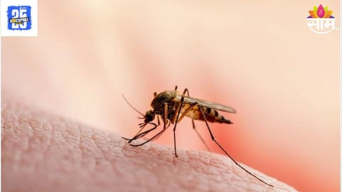 Malaria Vaccine In India