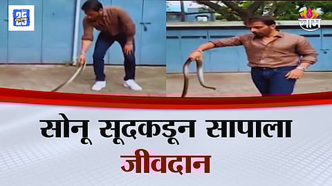 Sonu Sood Catches Snake