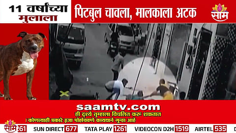 Viral image shows pitbull attacking 11-year-old boy in Mankhurd, Mumbai, during an alleged prank by the dog owner.