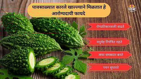 Bitter gourd for monsoon health