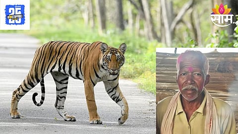 Tiger Attack
