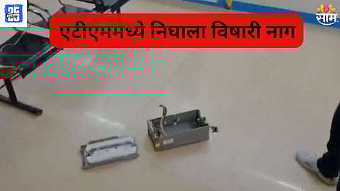 Snake In Atm