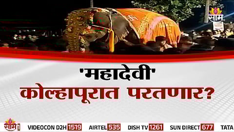 Vantara officials meet Kolhapur authorities over the return of temple elephant Mahadevi, as villagers and leaders rally for her comeback