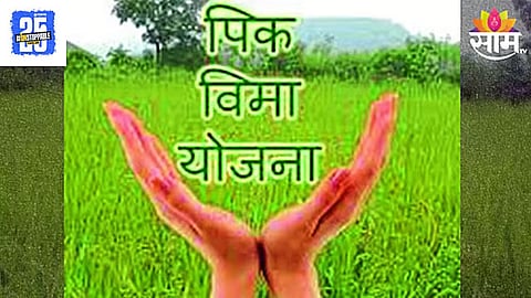 Crop Insurance