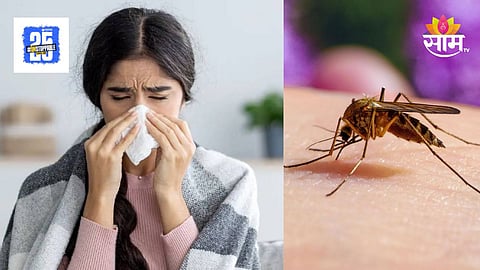 Monsoon Diseases Alert : मुंबईकरांनो काळजी घ्या! डेंग्यू, मलेरिया, चिकनगुनिया रुग्णांमध्ये मोठी वाढ; आरोग्य यंत्रणा अलर्ट मोडवर