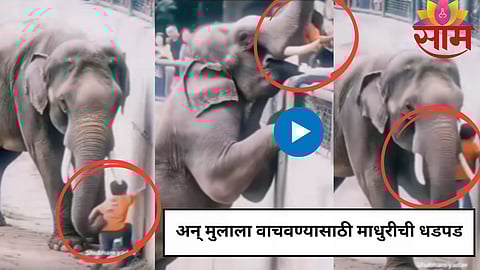 Viral Video