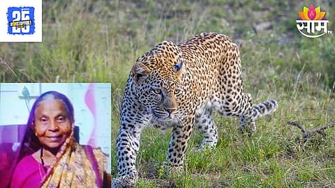 Leopard Attack