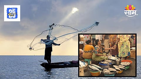 Maharashtra Marine Fish : मासे उत्पादनात देशाची पीछेहाट, महाराष्ट्राची मोठी भरारी, CMFRI चा अहवाल