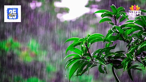 Monsoon Update : उकाड्याला ब्रेक लागणार, आजपासून राज्यात पाऊस धो धो कोसळणार, वाचा हवामान खात्याने कोणत्या जिल्ह्यात सांगितला पाऊस