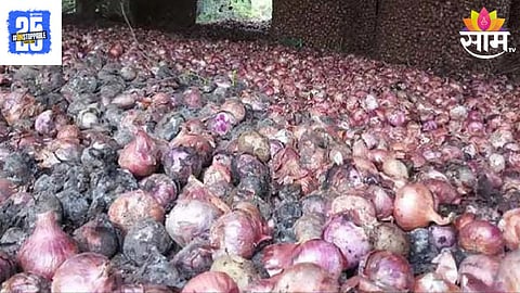 Onion 