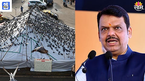 Devendra fadnavis news
