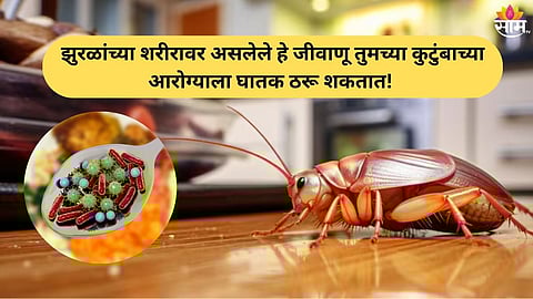 cockroach bacteria cause serious illness