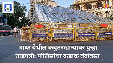 Mumbai Kabutar Khana : वाद पुन्हा तापणार! दादरमधील कबुतरखान्यावर पुन्हा ताडपत्री लावली, जैन समाज आक्रमक, पोलीस बंदोबस्त वाढवला
