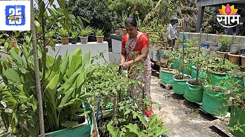 Terrace Farming