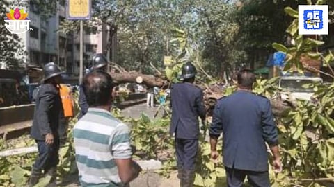 Salman Khan Injured in Dadar Accident