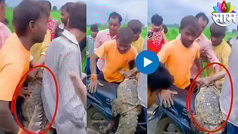 Viral Video