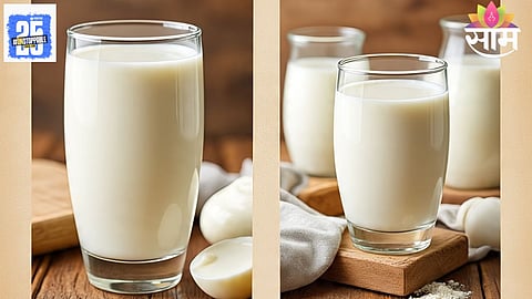 buffalo milk for weight gain