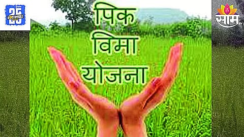 Crop Insurance
