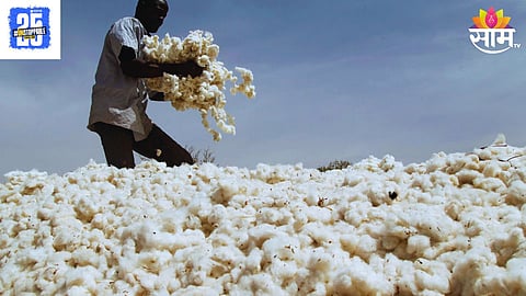 India Removes Import Duty on Cotton