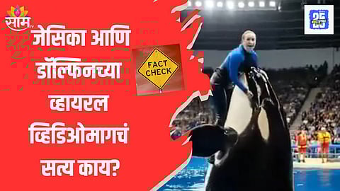 जेसिकाला डॉल्फिननं खाल्लं, काय आहे व्हायरल व्हिडिओमागचं सत्य?