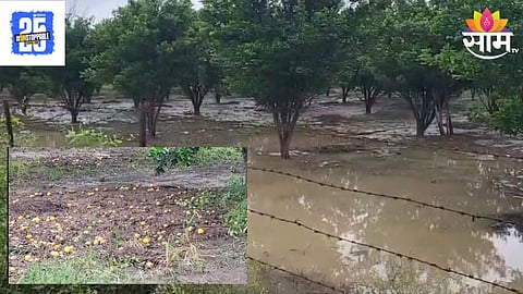Ashti Heavy Rain
