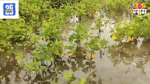 Beed Rain