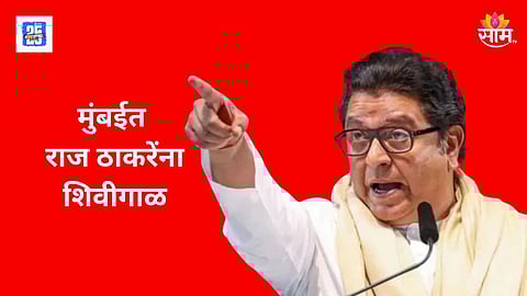 Mumbai MNS Viral Video