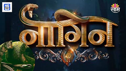 Naagin 7 First Look