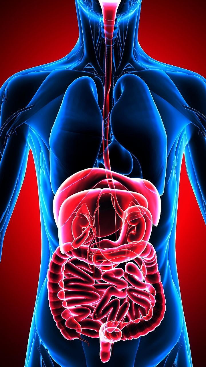 Colon Cancer Symptoms : कोलन कॅन्सरची सुरुवातीची लक्षणे कोणती? या ...