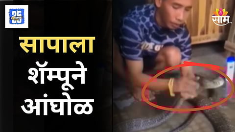 Viral Video : हद्दच झाली! चक्क सापाला घतली शॅम्पूने आंघोळ! सोशल मीडियावर व्हिडिओ व्हायरल