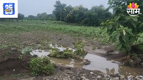 Wardha Rain
