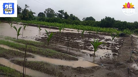Hingoli Heavy Rain