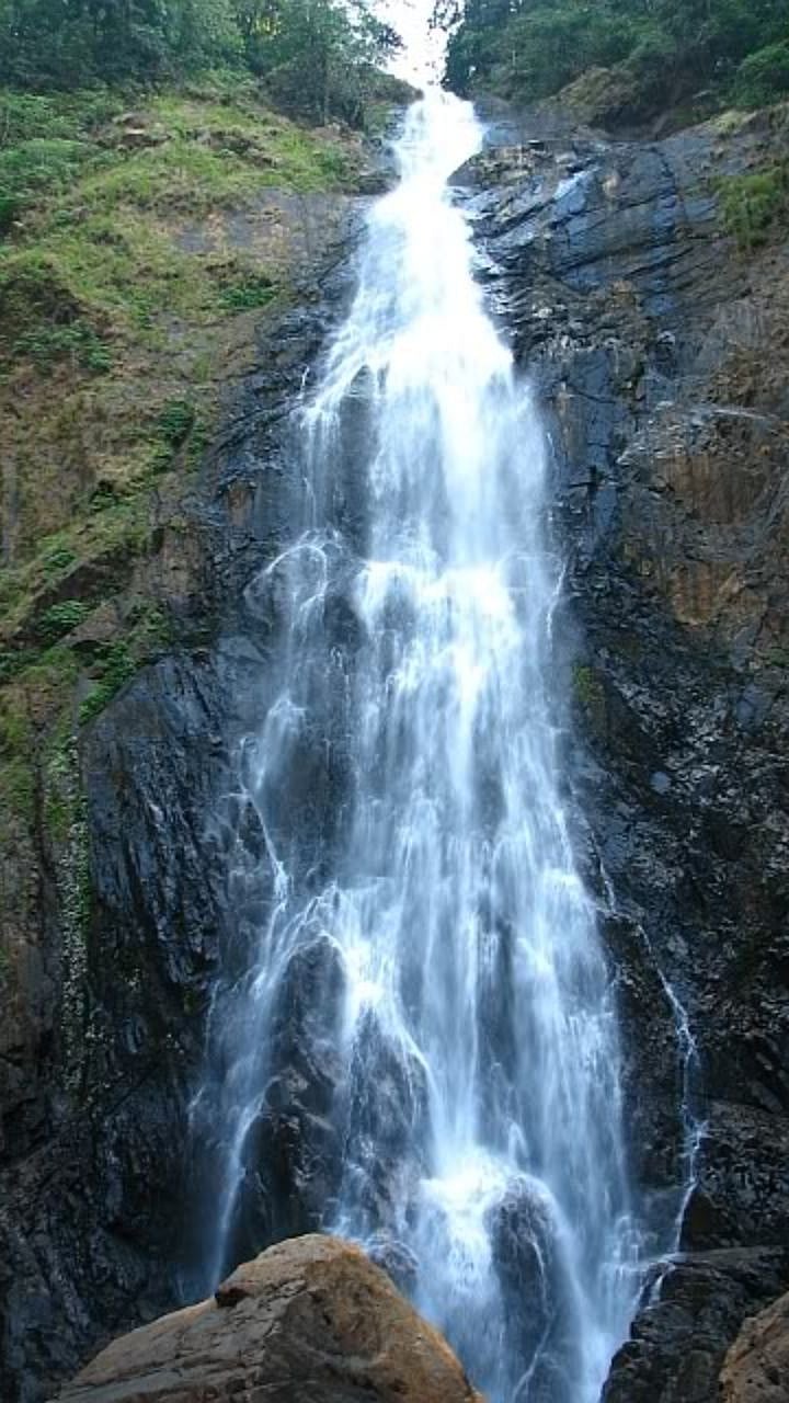 Maharashtra Tourism : विदर्भात करा पिकनिक प्लान, पावसाचा आनंद ...