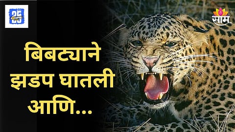 Parner Leopard Attack on Farmer