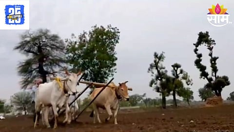 Farmer
