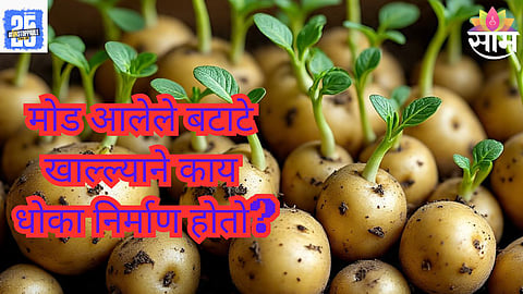 Potato nutrition awareness