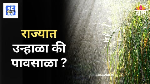 Maharashtra Weather : राज्यात पावसाच्या दोन तऱ्हा, कुठे ऊन तर कुठे पाऊस? वाचा आजचा हवामानाचा अंदाज