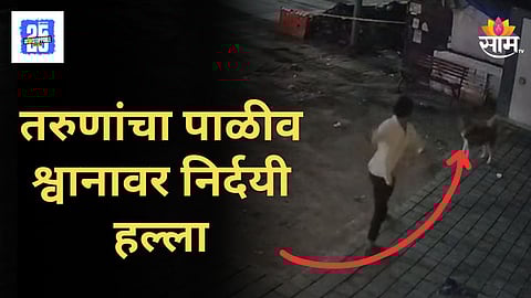 Pune Dog News : लाकडी फळीने आणि दगडाने कुत्र्याला मार मार मारलं, पुण्यातील संतापजनक व्हिडिओ व्हायरल