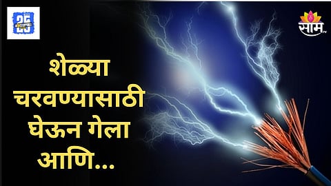 Buldhana : बकऱ्या चरायला घेऊन गेलेला तरूण घरी परतलाच नाही; रानात नेमकं काय घडलं?