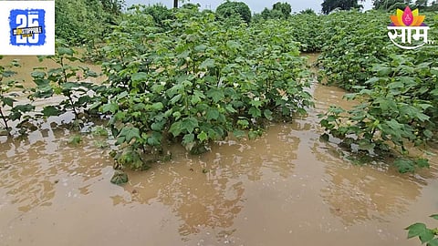 Jalna Heavy Rain