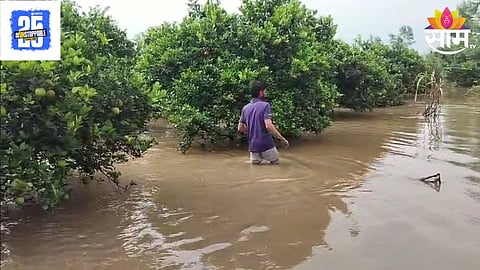 Jalna Rain
