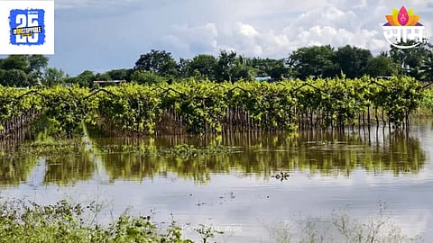 Sangola Heavy Rain
