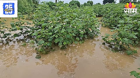 Marathwada Heavy Rain